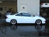 IMG_1652.jpg