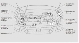 honda crv 2002-2006 fluidos.JPG