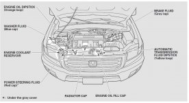 honda ridge line mantenimiento ubicacion tapaderas.JPG
