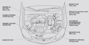 acura rsx fluidos.JPG