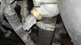 IMG_20170414_140548.jpg