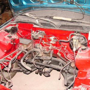 DSC09764