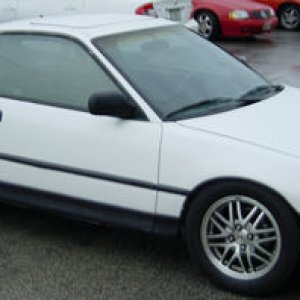 white crx