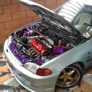 engine bay (7)