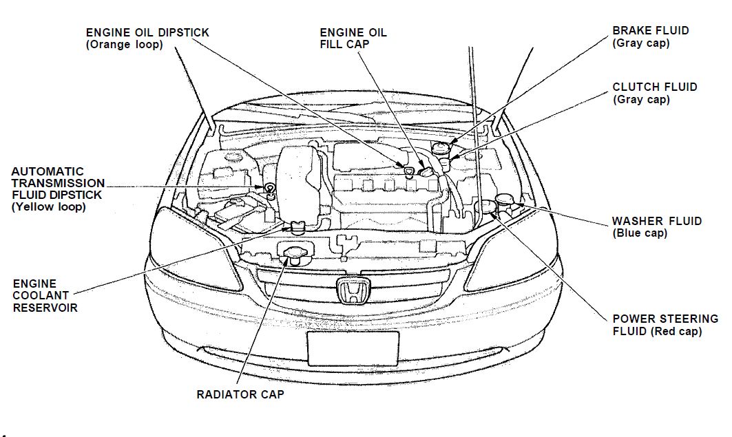 honda civic 2001 fluidos.JPG